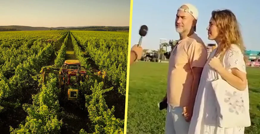 Hușenii și-au promovat via și vinul la Nibiru. Zghihara de la Domeniile Averești, printre favorite