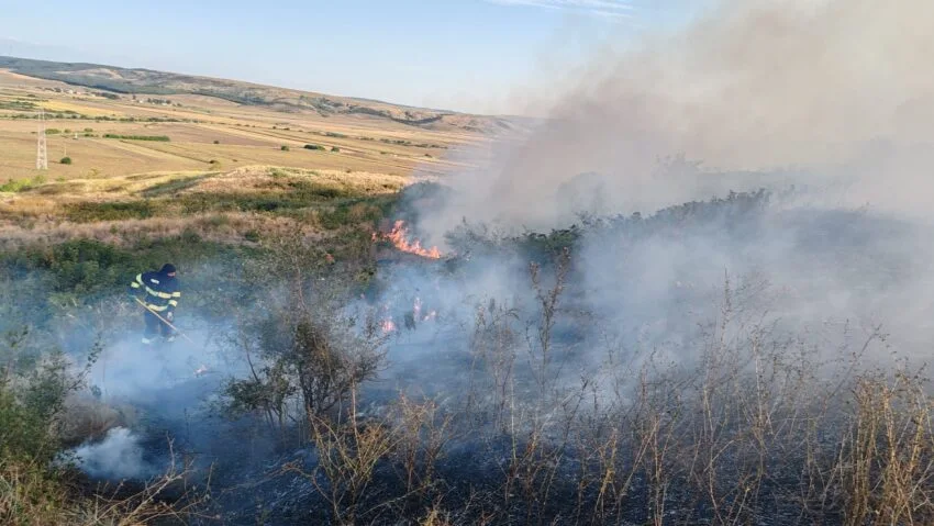 Incendiu în Tăcuta: 10 hectare de vegetație uscată și 3.000 de metri pătrați de lizieră de salcâmi au ars