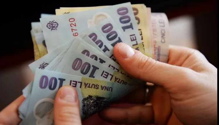 Ajutoare financiare de urgență pentru familii și persoane singure din județul Vaslui